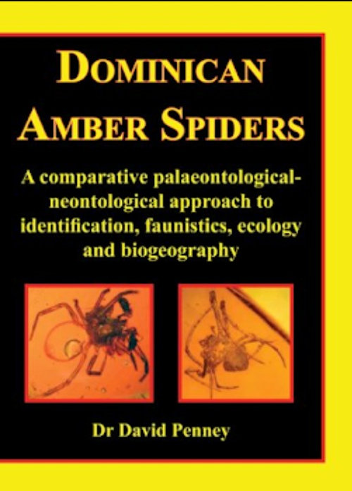 Dominican spiders